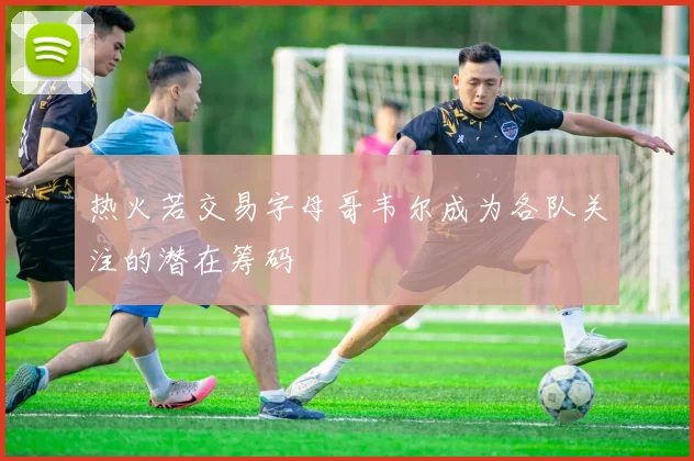 热火若交易字母哥韦尔成为各队关注的潜在筹码