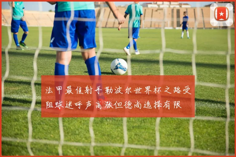 法甲最佳射手勒波尔世界杯之路受阻球迷呼声高涨但德尚选择有限